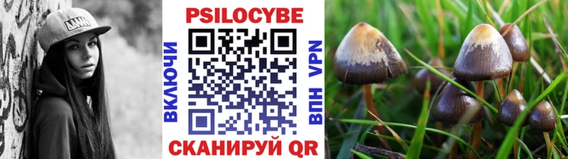Псилоцибиновые грибы Psilocybine cubensis  Лукоянов 